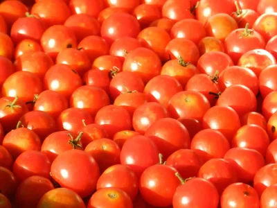 Tomato Custom Poly bags